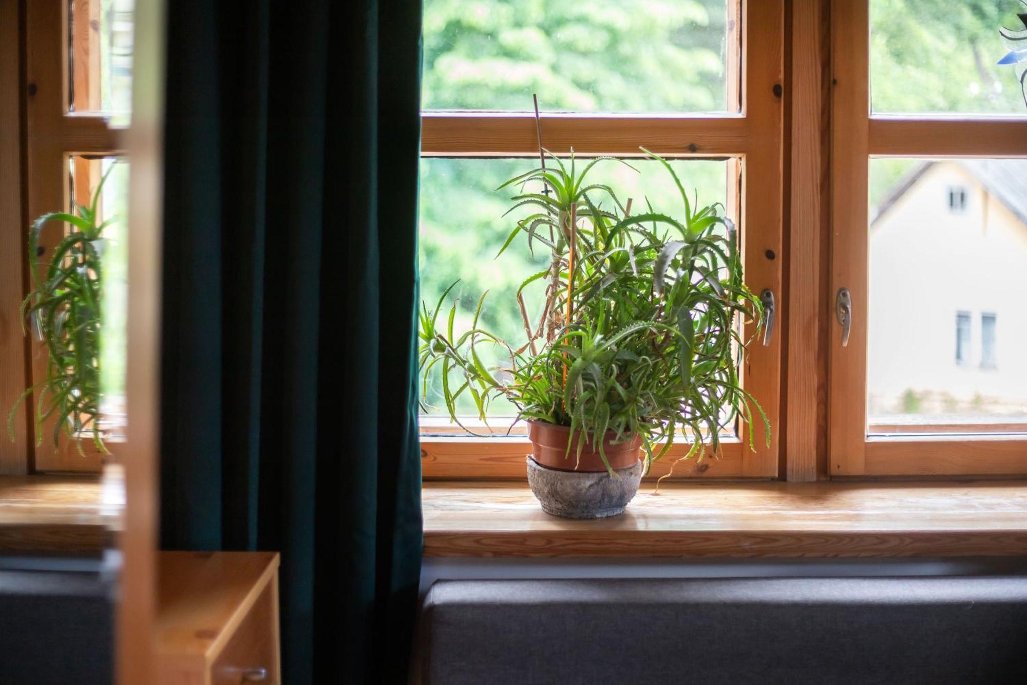 Bed & Breakfast House Of Sun Vilnius